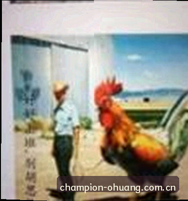 孙鹏