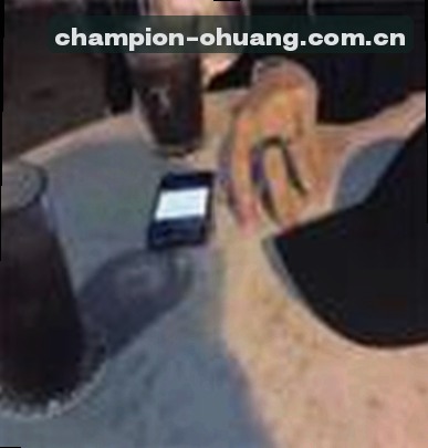 王磊